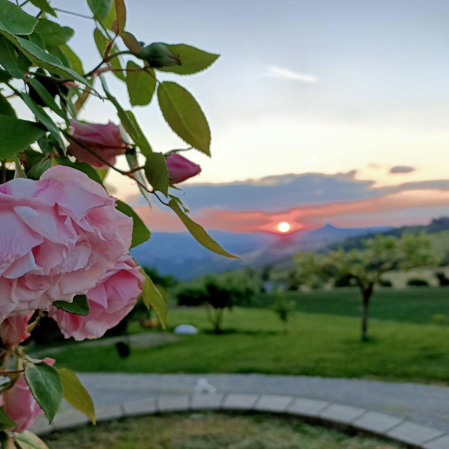 Agriturismo La Casetta - Ospitalita Rurale Familiare Montese Kültér fotó