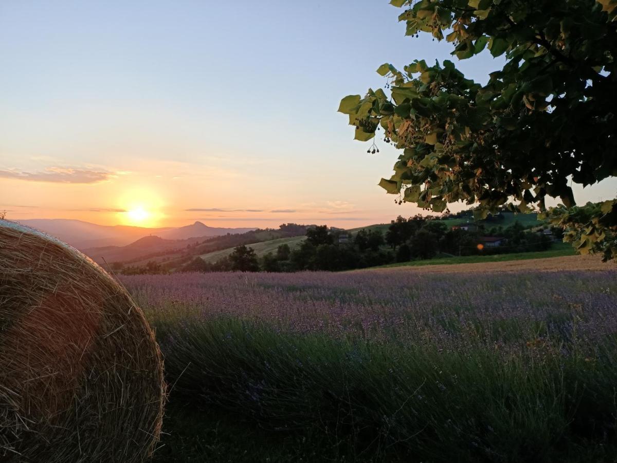 Agriturismo La Casetta - Ospitalita Rurale Familiare Montese Kültér fotó
