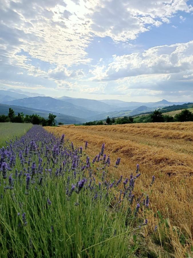 Agriturismo La Casetta - Ospitalita Rurale Familiare Montese Kültér fotó