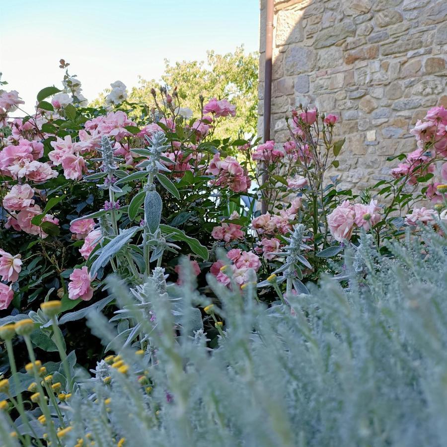Agriturismo La Casetta - Ospitalita Rurale Familiare Montese Kültér fotó